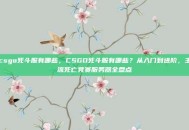 csgo死斗服有哪些，CSGO死斗服有哪些？从入门到进阶，主流死亡竞赛服务器全盘点