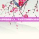 英雄联盟语音大全，掌握游戏精髓的必备指南