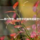 Steam潜行狩猎，游戏中的猎物追踪艺术