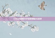 CSGO国服小手枪的奥秘与选择