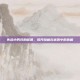失踪小男孩的谜团，揭开隐藏在迷雾中的真相