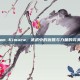 Steam Kimura，武术中的优雅与力量的完美结合
