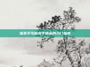 探索手写版和平精英的入门指南