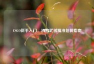 CSGO新手入门，初始武器精准估价指南