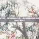 深海鱼油作用，深海鱼油的作用，从心脑健康到全身养护，你真的了解吗？