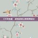 CF打击者，虚拟战场上的英勇战士