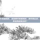 逆战骨刃英雄排名，逆战骨刃英雄排名，骨刃风云录，谁才是真正的战场主宰？