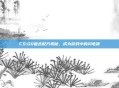 CS:GO雷击配方揭秘,成为游戏中的闪电侠