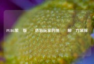 PUBG繁體版對綠色盲玩家的挑戰與解決方案探討