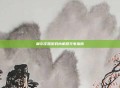 摩尔庄园游戏内机器充电指南