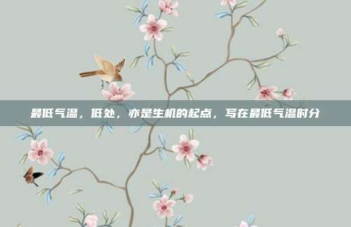 最低气温,低处,亦是生机的起点,写在最低气温时分