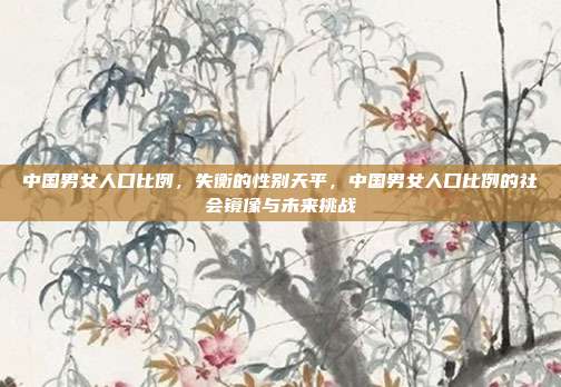 中国男女人口比例,失衡的性别天平,中国男女人口比例的社会镜像与未来挑战