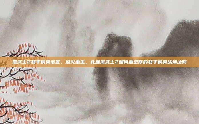 黑武士2和平精英设置,浴火重生,北通黑武士2如何重塑你的和平精英战场法则