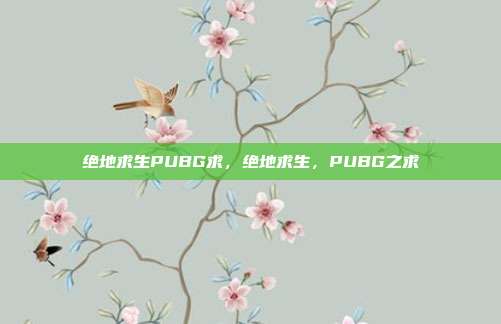 绝地求生PUBG求,绝地求生,PUBG之求