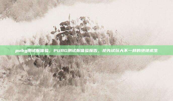 pubg测试服体验,PUBG测试服体验报告,抢先试玩大不一样的绝地求生