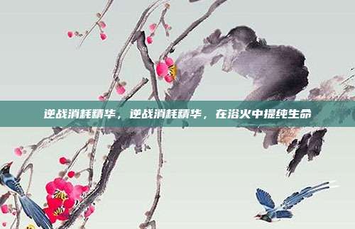 逆战消耗精华,逆战消耗精华,在浴火中提纯生命