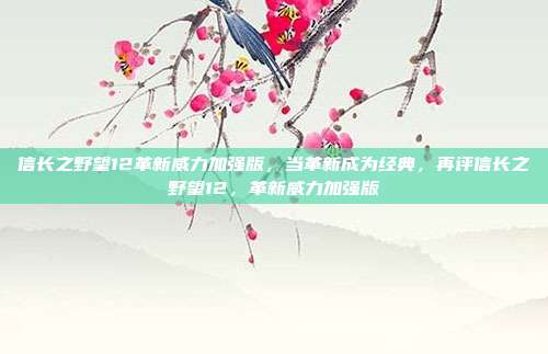 信长之野望12革新威力加强版,当革新成为经典,再评信长之野望12,革新威力加强版