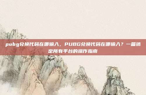 pubg兑换代码在哪输入,PUBG兑换代码在哪输入?一篇搞定所有平台的操作指南
