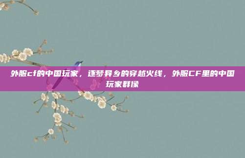 外服cf的中国玩家,逐梦异乡的穿越火线,外服CF里的中国玩家群像