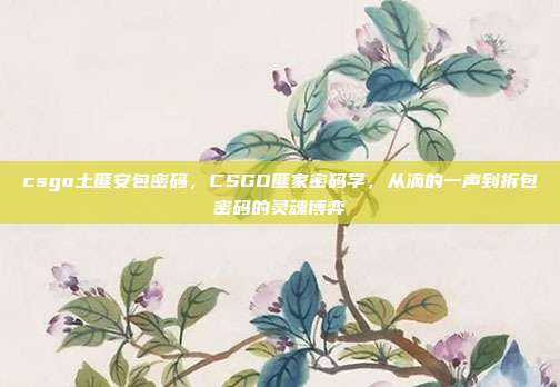 csgo土匪安包密码,CSGO匪家密码学,从滴的一声到拆包密码的灵魂博弈