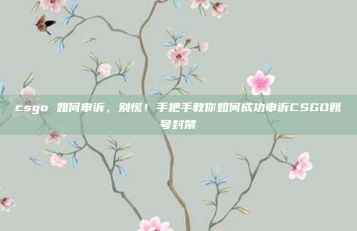 csgo 如何申诉,别慌!手把手教你如何成功申诉CSGO账号封禁