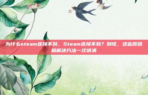 为什么steam连接不到,Steam连接不到?别慌,这些原因和解决方法一次讲清