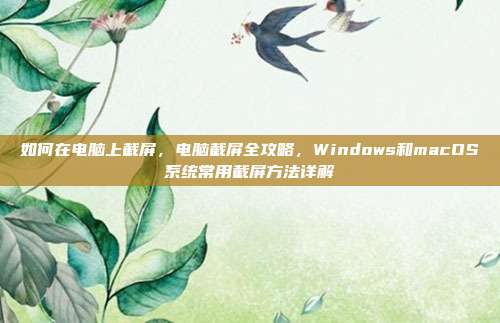 如何在电脑上截屏,电脑截屏全攻略,Windows和macOS系统常用截屏方法详解
