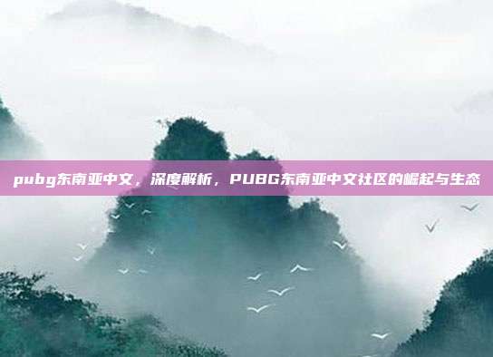 pubg东南亚中文,深度解析,PUBG东南亚中文社区的崛起与生态