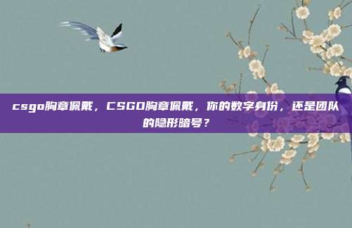 csgo胸章佩戴,CSGO胸章佩戴,你的数字身份,还是团队的隐形暗号?