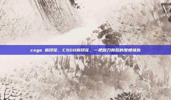 csgo 拆印花,CSGO拆印花,一把刮刀背后的爱恨情仇