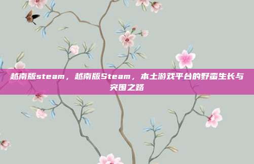 越南版steam,越南版Steam,本土游戏平台的野蛮生长与突围之路