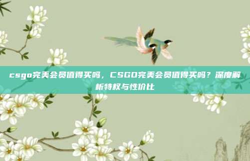 csgo完美会员值得买吗,CSGO完美会员值得买吗?深度解析特权与性价比