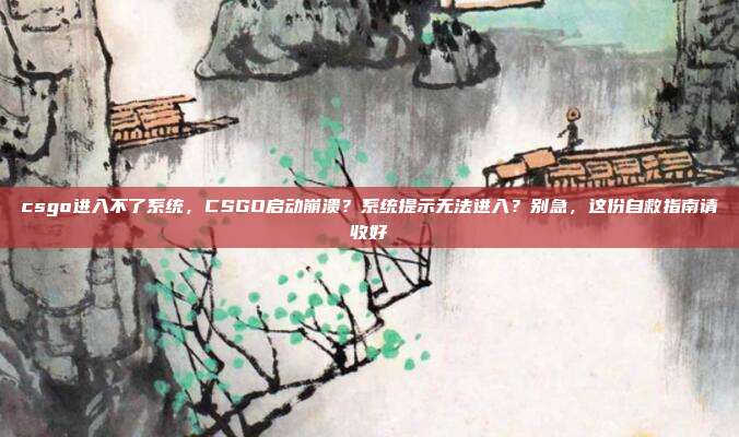 csgo进入不了系统,CSGO启动崩溃?系统提示无法进入?别急,这份自救指南请收好