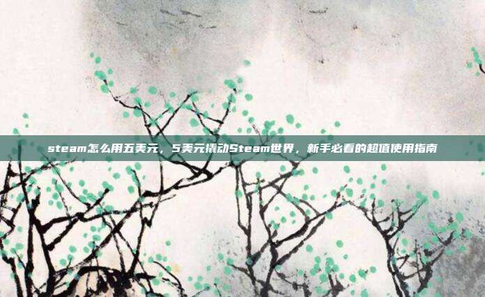 steam怎么用五美元,5美元撬动Steam世界,新手必看的超值使用指南