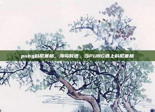 pubg科尼塞格,海岛时速,当PUBG遇上科尼塞格