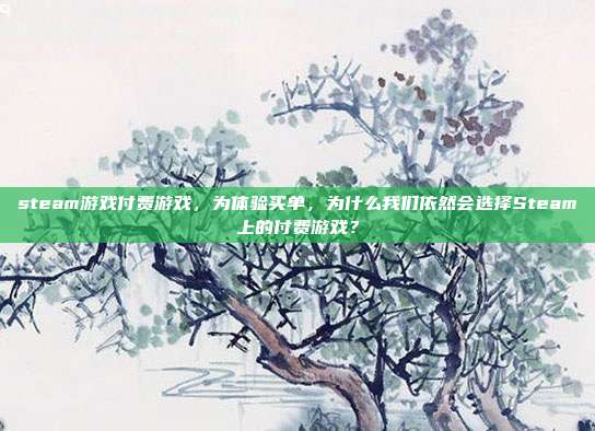 steam游戏付费游戏,为体验买单,为什么我们依然会选择Steam上的付费游戏?