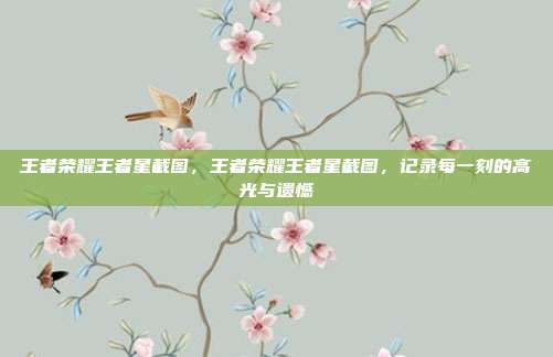 王者荣耀王者星截图,王者荣耀王者星截图,记录每一刻的高光与遗憾