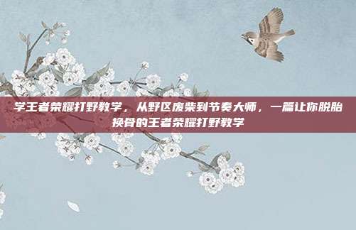 学王者荣耀打野教学,从野区废柴到节奏大师,一篇让你脱胎换骨的王者荣耀打野教学