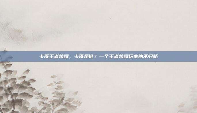 卡哥王者荣耀,卡哥是谁?一个王者荣耀玩家的不归路