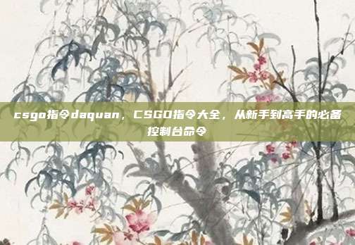 csgo指令daquan,CSGO指令大全,从新手到高手的必备控制台命令