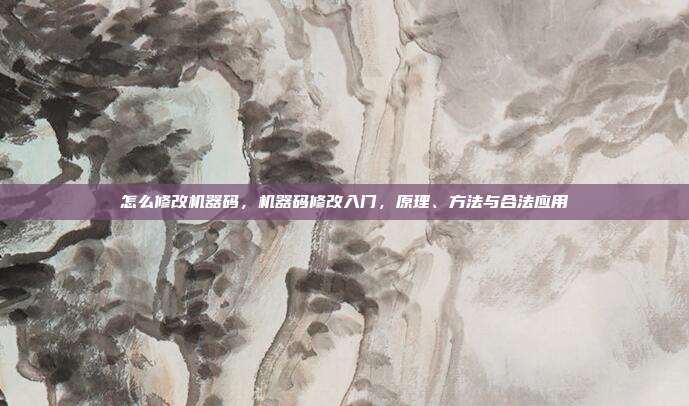 怎么修改机器码,机器码修改入门,原理、方法与合法应用