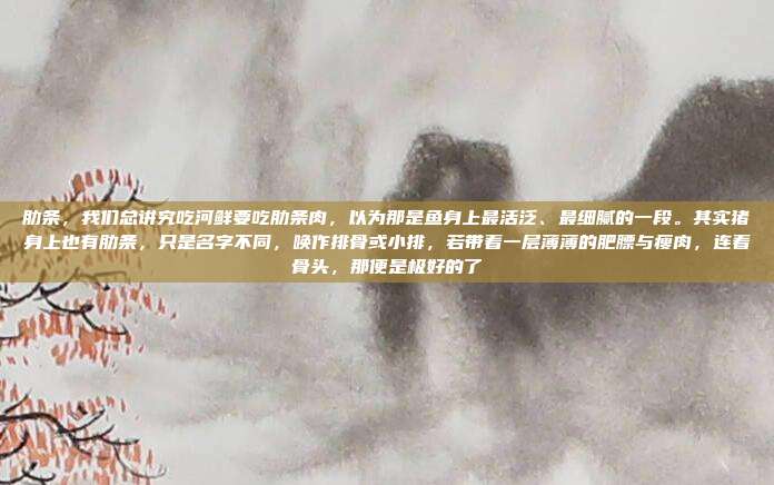 肋条,我们总讲究吃河鲜要吃肋条肉,以为那是鱼身上最活泛、最细腻的一段。其实猪身上也有肋条,只是名字不同,唤作排骨或小排,若带着一层薄薄的肥膘与瘦肉,连着骨头,那便是极好的了