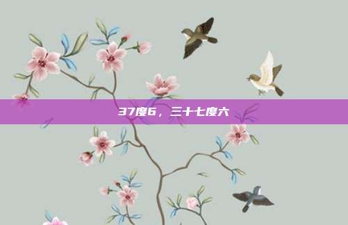 37度6,三十七度六