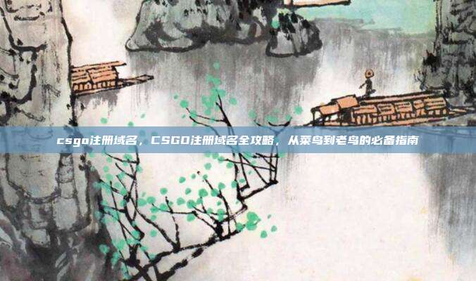csgo注册域名，CSGO注册域名全攻略，从菜鸟到老鸟的必备指南