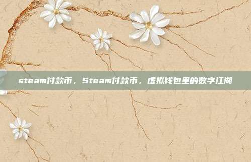 steam付款币,Steam付款币,虚拟钱包里的数字江湖