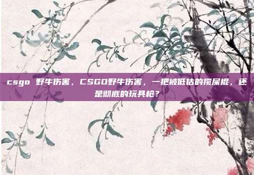 csgo 野牛伤害,CSGO野牛伤害,一把被低估的搅屎棍,还是彻底的玩具枪?