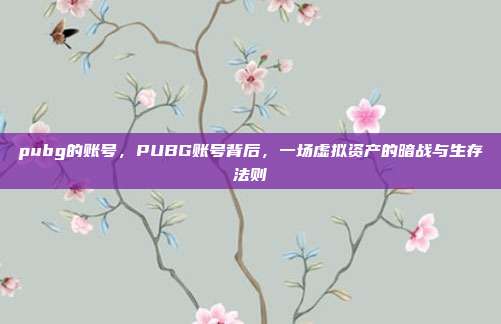 pubg的账号,PUBG账号背后,一场虚拟资产的暗战与生存法则