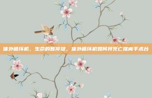 体外循环机,生命的暂停键,体外循环机如何将死亡推离手术台