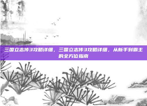 三国立志传3攻略详细,三国立志传3攻略详细,从新手到霸主的全方位指南
