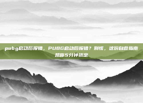 pubg启动后报错,PUBG启动后报错?别慌,这份自救指南帮你5分钟搞定